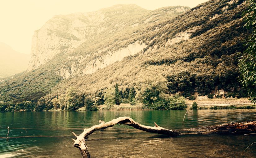 Szambo – Istotne Dla Zdrowia i Środowiska: Czynności, Utrzymanie, Usuwanie. Zachowujmy o Nasze Otoczenie, Zauważmy Istotę Organizmu Kanalizacyjnego.