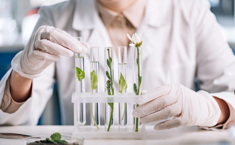 Studia środowiskowe jako Klucz do Ochrony Naszej Planety