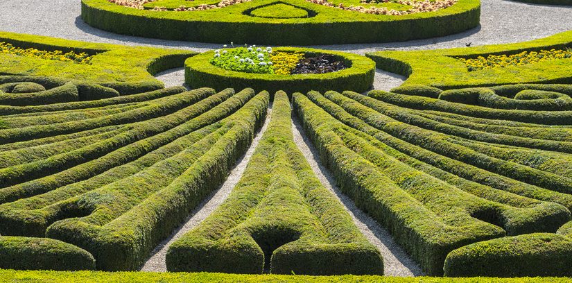 W jaki sposób stworzyć przydomowy teren? Kompleksowy przewodnik dla miłośników architektury krajobrazu